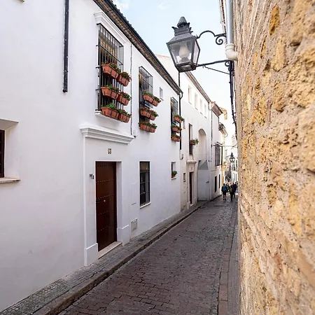 Casa La Mezquita Con Parking Gratis 펜션 코르도바